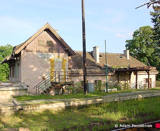Krosnowice K�odzkie - budynek stacji