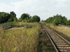 Strzegom Miasto - panorama stacji