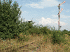 Strzegom Miasto - poci�g do Kamie�ca